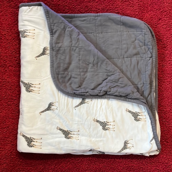 Kyte BABY Other - Kyte baby toddler blanket